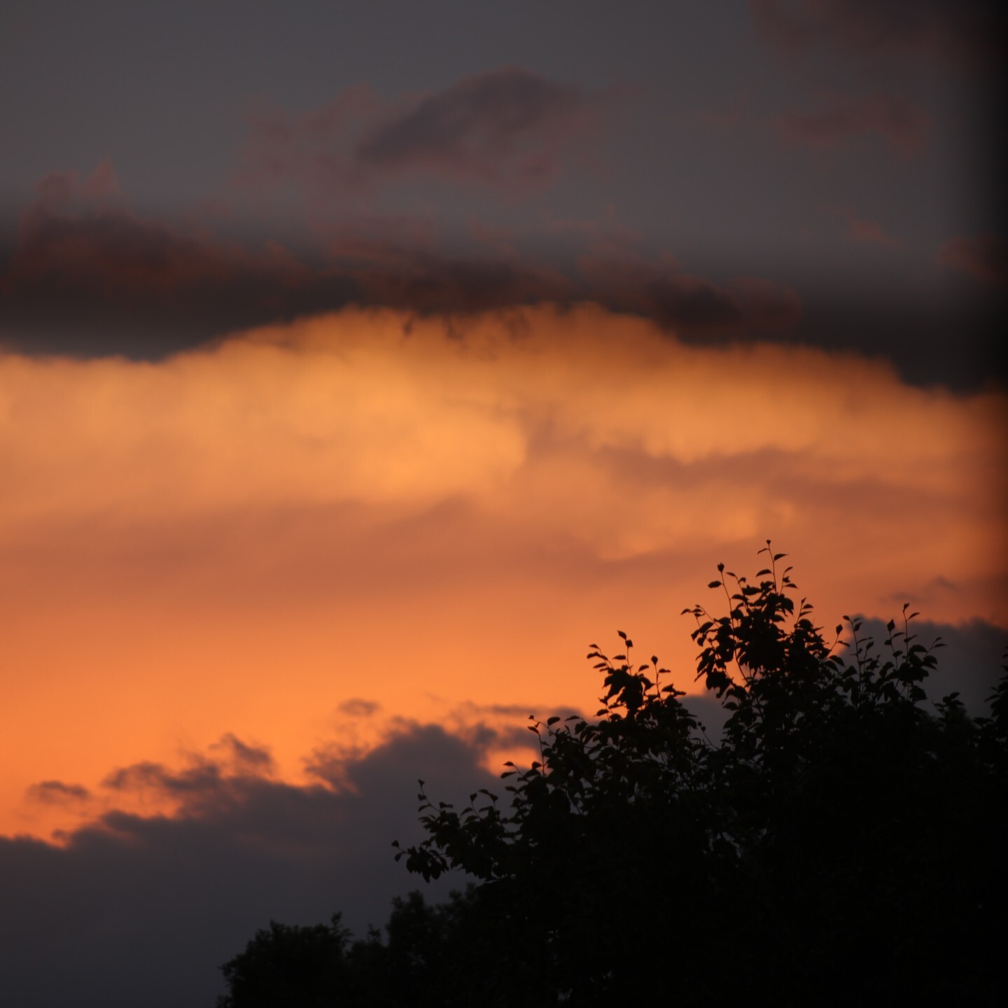 #photography #summer #sunset